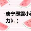 唐寧墨霆小說叫什么名字（《試婚老公,要給力》）