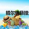 措爾納懸掛法（關于措爾納懸掛法簡介）