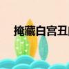 掩藏白宮丑聞（關于掩藏白宮丑聞簡介）