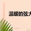 溫暖的弦大結局（溫暖的弦結局介紹）