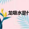 龍吸水是什么現象（它是怎么形成的）