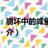 崩壞中的咸魚艦長（關于崩壞中的咸魚艦長簡介）