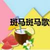 斑馬斑馬歌詞（宋冬野斑馬斑馬的歌詞）
