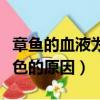 章魚的血液為什么是藍色的（章魚的血液呈藍色的原因）