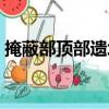 掩蔽部頂部遺址（關于掩蔽部頂部遺址簡介）