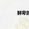 鮮卑族姓氏（鮮卑族的介紹）