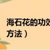 海石花的功效與吃法（海石花的功效與及食用方法）