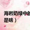 海巖奶綠中的海巖是什么（海巖奶綠中的海巖是啥）