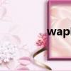 wap啥意思（wap的含義）