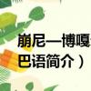 崩尼—博嘎爾珞巴語（關于崩尼—博嘎爾珞巴語簡介）