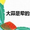 大蒜是葷的還是素的（有多少人不知道）