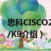 思科CISCO2911/K9（關于思科CISCO2911/K9介紹）