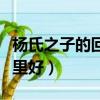 楊氏之子的回答妙在哪里（楊氏之子的回答哪里好）