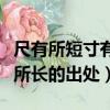 尺有所短寸有所長是什么意思（尺有所短寸有所長的出處）