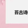 苔古詩的意思（苔古詩的全文）