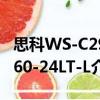 思科WS-C2960-24LT-L（關于思科WS-C2960-24LT-L介紹）