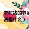 農村豬的養殖技術方法（農村豬的養殖技術方法是什么）