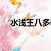 水淺王八多啥意思（水淺王八多的意思）