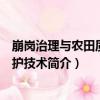 崩崗治理與農田質量保護技術（關于崩崗治理與農田質量保護技術簡介）