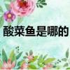 酸菜魚是哪的（酸菜魚屬于哪個城市的名菜）
