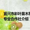 宜興市彩葉苗木種植專業合作社（關于宜興市彩葉苗木種植專業合作社介紹）