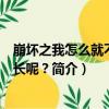崩壞之我怎么就不是艦長呢？（關于崩壞之我怎么就不是艦長呢？簡介）