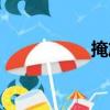 掩旋（關于掩旋簡介）