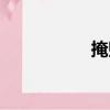 掩敗（關于掩敗簡介）