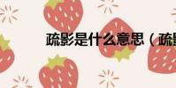 疏影是什么意思(疏影的含義)