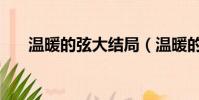 溫暖的弦大結局(溫暖的弦結局介紹)