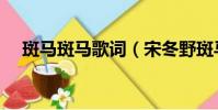 斑馬斑馬歌詞(宋冬野斑馬斑馬的歌詞)