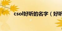 csol好聽的名字(好聽的游戲名)