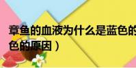 章魚的血液為什么是藍色的(章魚的血液呈藍色的原因)