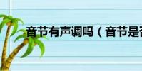 音節有聲調嗎(音節是否具有聲調)