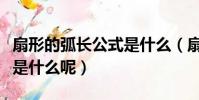 扇形的弧長公式是什么(扇形的弧長公式到底是什么呢)