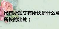 尺有所短寸有所長是什么意思(尺有所短寸有所長的出處)