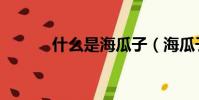 什么是海瓜子(海瓜子是什么)