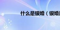 什么是銀婚(銀婚是什么)