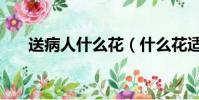 送病人什么花(什么花適合送給病人)