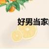 好男當家的演員（好男當家的簡介）