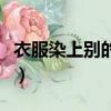 衣服染上別的色用啥洗掉（有什么洗掉的技巧）
