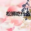 松獅吃什么狗糧好（松獅狗糧選擇介紹）