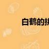白鶴的拼音（白鶴的拼音及介紹）