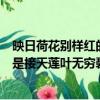 映日荷花別樣紅的前一句是什么（映日荷花別樣紅的前一句是接天蓮葉無窮碧）