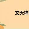 文天祥集（關于文天祥集簡介）