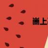 崮上墓（關于崮上墓簡介）