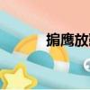 掮鷹放鷂（關于掮鷹放鷂簡介）