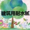 建筑用耐水膩子（關于建筑用耐水膩子介紹）
