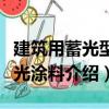 建筑用蓄光型發光涂料（關于建筑用蓄光型發光涂料介紹）