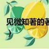 見微知著的著字是什么意思（見微知著的釋義）